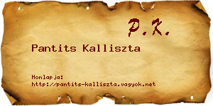 Pantits Kalliszta névjegykártya